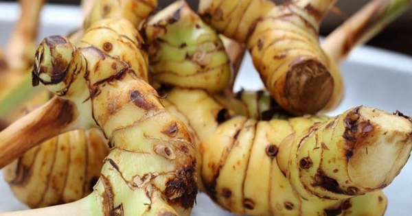 Củ riềng: Gia vị giúp bảo vệ hệ tiêu hóa khi ăn đồ sống, lạnh