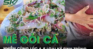 Mê gỏi cá, người đàn ông nhiễm cùng lúc 4–5 loại ký sinh trùng