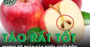 Táo rất tốt cho sức khoẻ nhưng bộ phận này không nên ăn nhiều vì chứa chất độc
