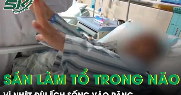 Nhét đùi ếch sống vào răng, người phụ nữ 61 tuổi bị sán ký sinh, làm tổ trong não