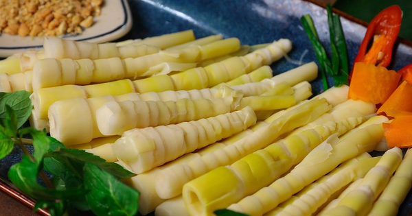 7 bài thuốc chữa bệnh từ măng tre