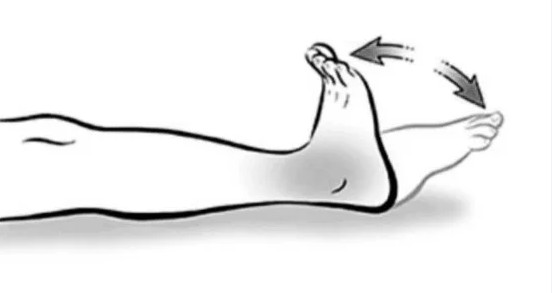 8 động tác buổi sáng giúp giảm cứng khớp- Ảnh 2.