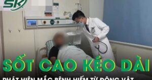 Sốt cao kéo dài không dứt, người đàn ông phát hiện mắc bệnh hiếm từ động vật