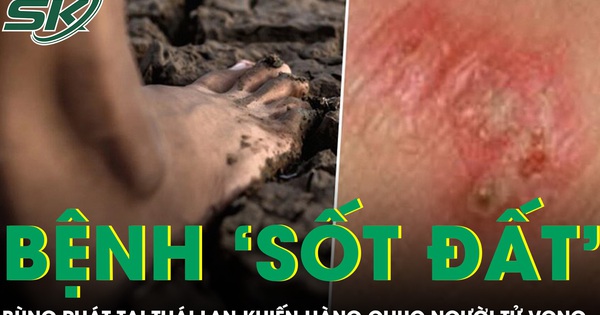 Bệnh ‘sốt đất’ bùng phát tại Thái Lan khiến hàng chục người tử vong