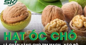 Hạt óc chó lá chắn vàng cho tim mạch, não bộ