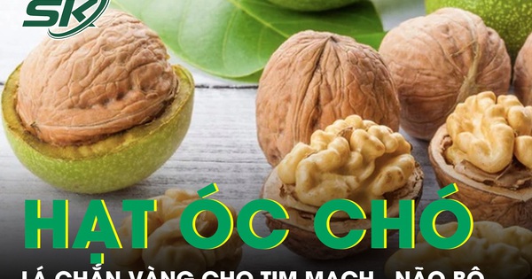 Hạt óc chó lá chắn vàng cho tim mạch, não bộ
