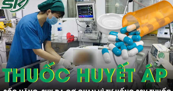 Uống hơn 30 viên thuốc hạ huyết áp, bệnh nhân nhập viện sốc nặng, suy đa cơ quan sau 12 giờ