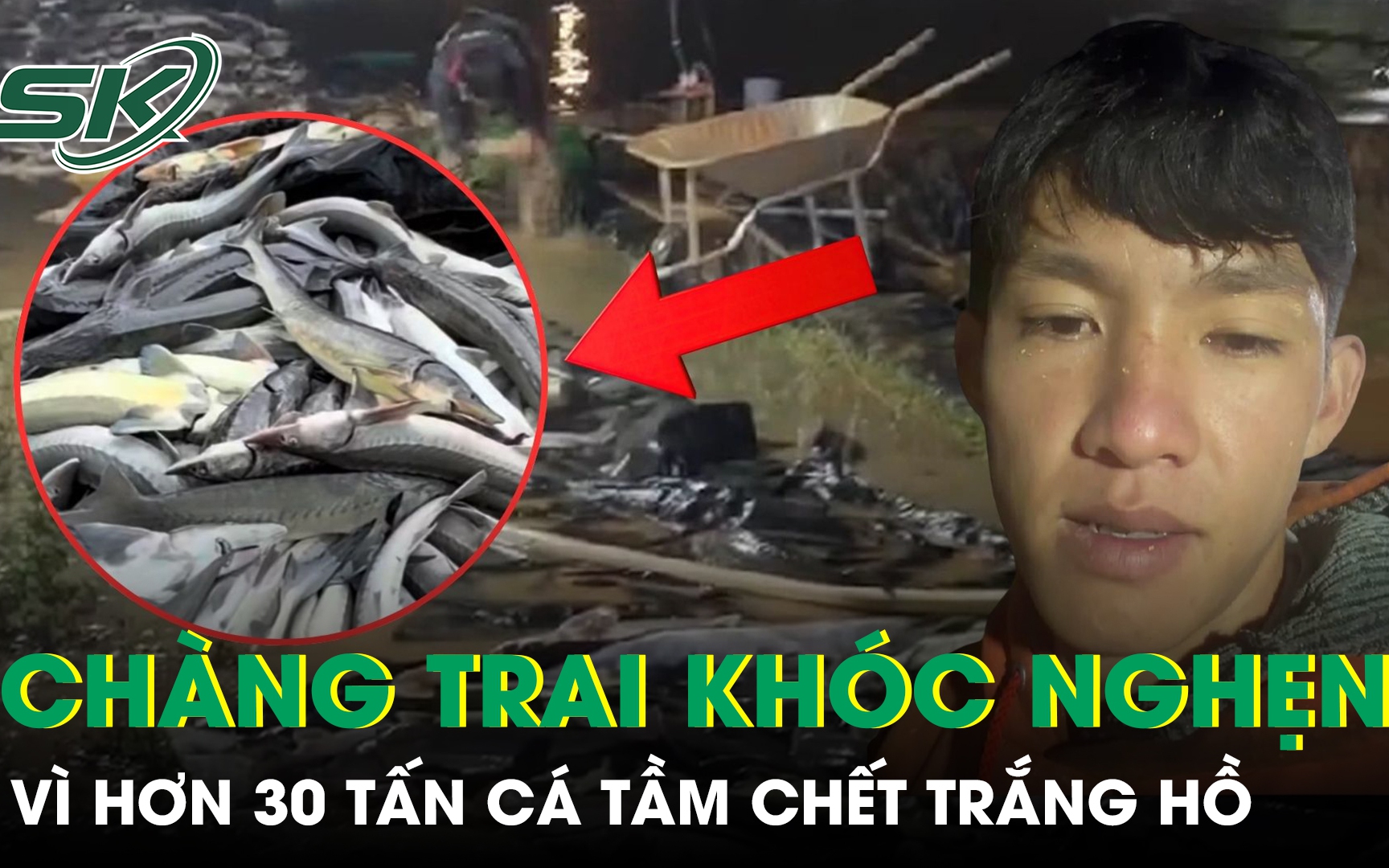 Người dân thiệt hại tiền tỷ vì ngao bất ngờ chết trắng bãi