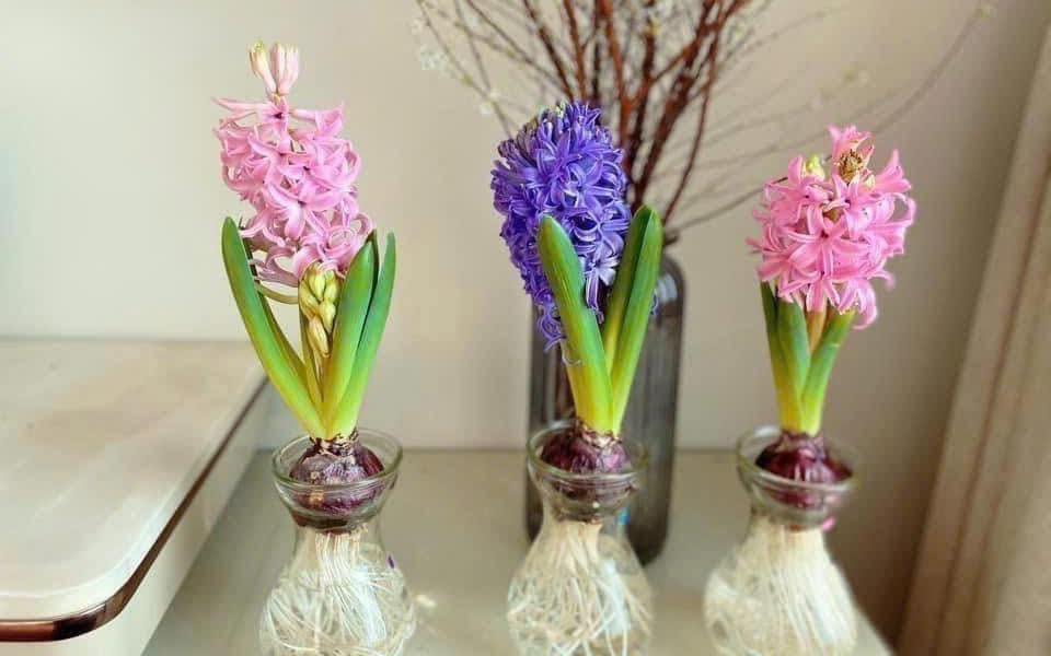 Thả diều - thú vui 'gây nghiện' mới của nhiều người Hà Nội: Mưa cũng chơi, tối vẫn đông kín bãi- Ảnh 9.