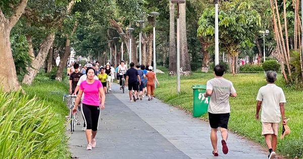 Người bệnh tim mạch nên tập luyện vào khung giờ nào là tốt nhất?