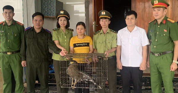 Người dân tự nguyện giao nộp 2 cá thể động vật quý hiếm