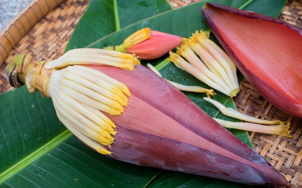 5 món ăn bài thuốc từ hoa chuối