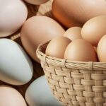 Ăn trứng có thể giảm nguy cơ mắc bệnh mạn tính cùng nhiều lợi ích khác