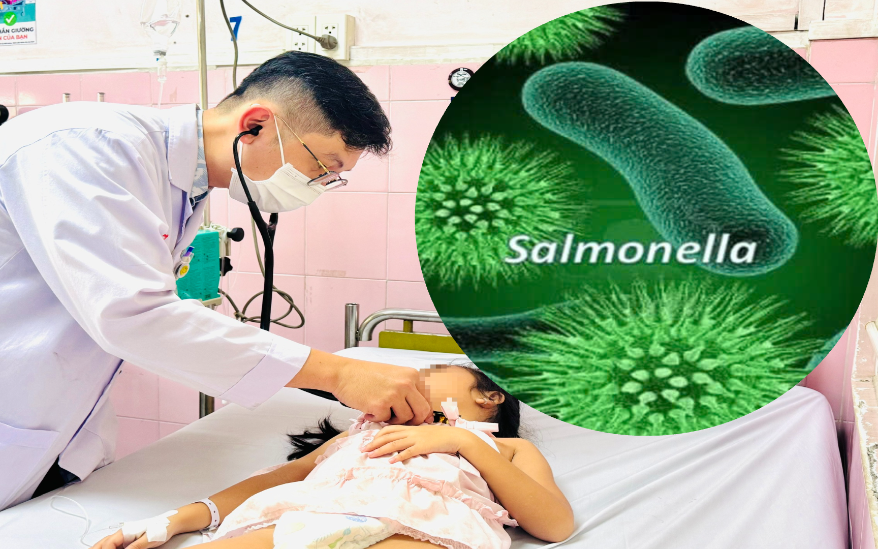 TPHCM: Mẫu xét nghiệm của học sinh Trường Bình Quới Tây dương tính Salmonella