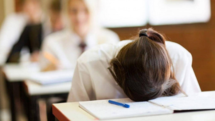 Dinh dưỡng giúp giảm mệt mỏi, căng thẳng trước kỳ thi- Ảnh 1.