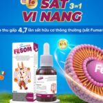 Sắt vi nang hấp thu cao thế hệ mới từ Italy