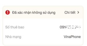 VNeID chưa hiển thị đủ số thuê bao đứng tên chính chủ, người dùng cần làm gì?