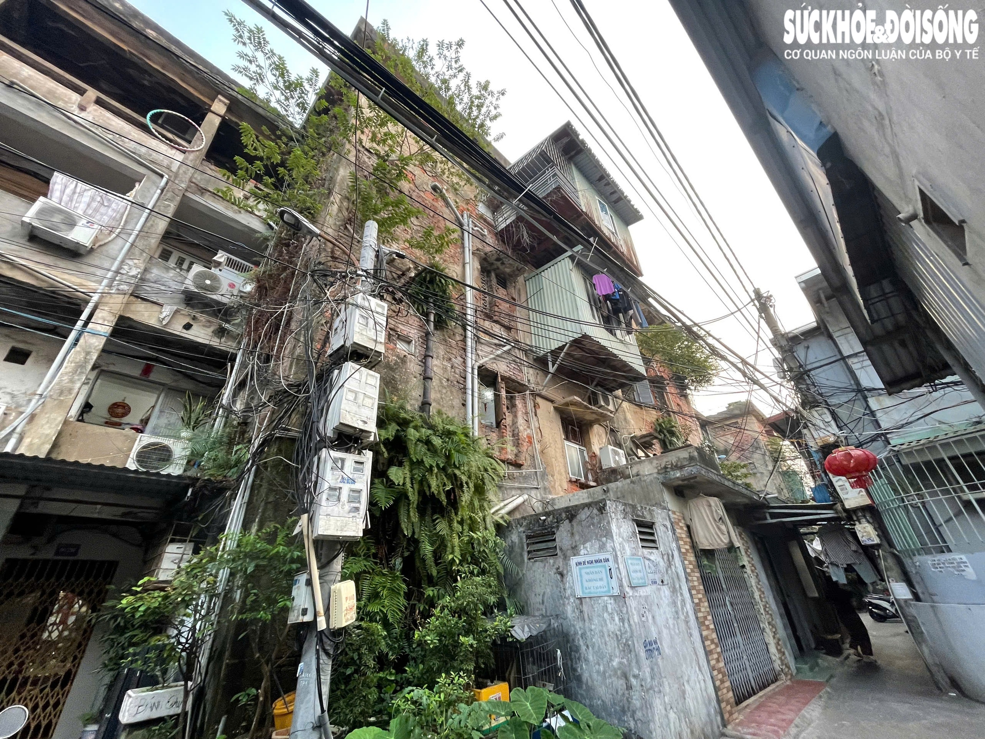 Hải Phòng sẽ di dân tại 177 chung cư cũ đã xuống cấp trầm trọng- Ảnh 1.