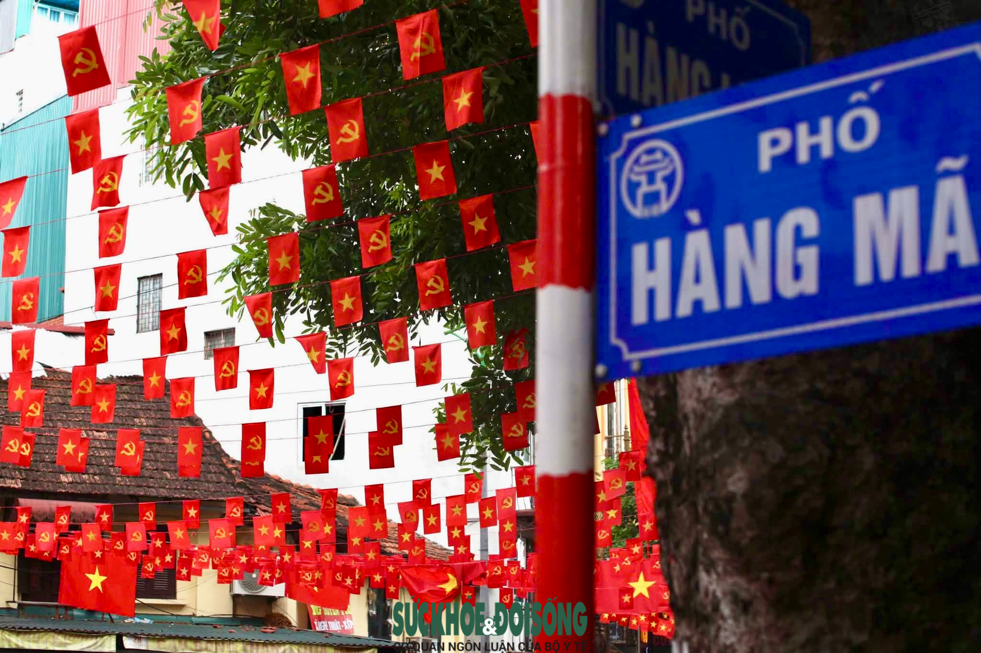 Phố phường Hà Nội rực rỡ cờ hoa hướng về ngày 30/4 và
Quốc tế Lao động 1/5- Ảnh 6.