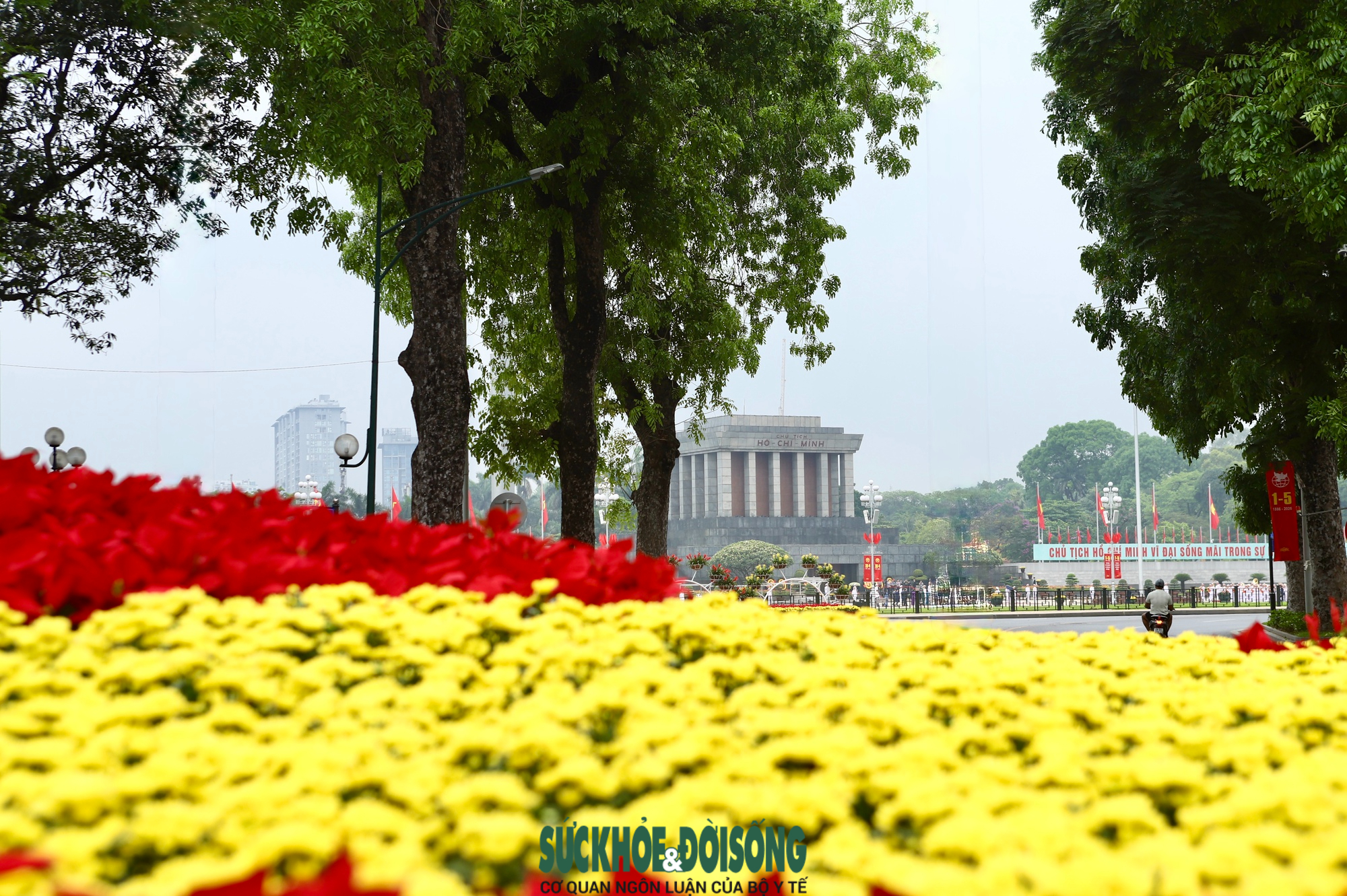 Phố phường Hà Nội rực rỡ cờ hoa hướng về ngày 30/4 và
Quốc tế Lao động 1/5- Ảnh 9.