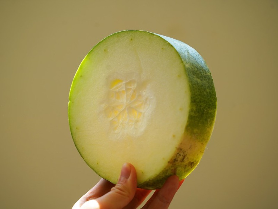 3 cách dùng bí đao dưỡng da trắng mịn, sạch mụn chỉ sau vài tuần sử dụng- Ảnh 1.