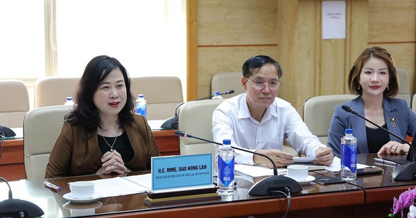 Bộ trưởng Đào Hồng Lan tiếp nguyên Đại sứ Hoa Kỳ tại Việt Nam, thúc đẩy hợp tác y tế hai nước