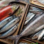 6 loại cá giàu vitamin D giúp xương chắc khỏe và tăng cường hệ miễn dịch