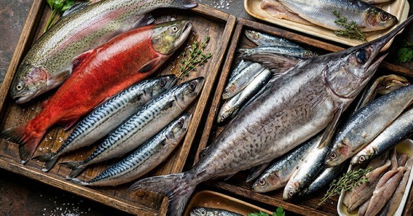 6 loại cá giàu vitamin D giúp xương chắc khỏe và tăng cường hệ miễn dịch