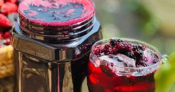 Cách sử dụng dâu tằm trị tóc bạc sớm theo Đông y