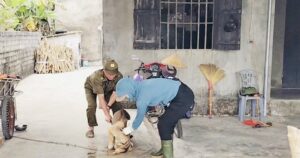 Cảnh giác bệnh dại tăng cao mùa nắng nóng