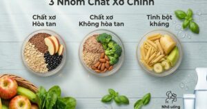 Có 2 hay 3 loại chất xơ thiết yếu và tại sao cần bổ sung đủ?