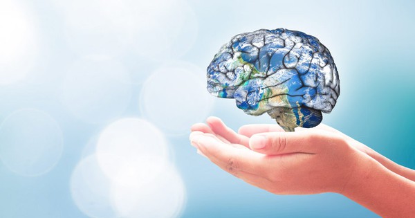 Điều gì xảy ra với não bộ nếu thường xuyên ăn cá 2 lần mỗi tuần?