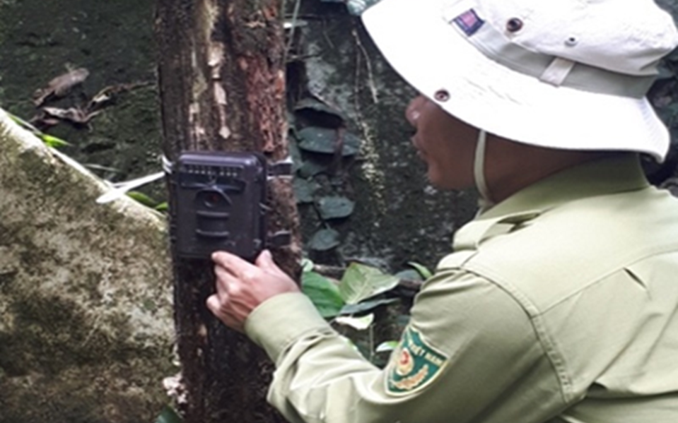 Những thiết bị hiện đại, trí tuệ nhân tạo được triển khai để bảo vệ động vật hoang dã quý hiếm