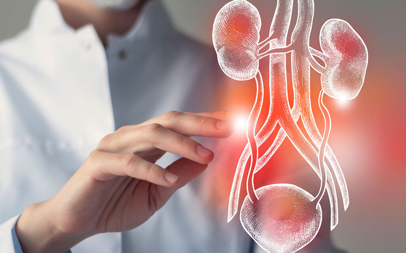 5 biện pháp hỗ trợ điều trị viêm đường tiết niệu hiệu quả