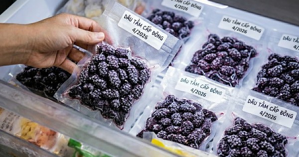 4 cách bảo quản quả dâu tằm để có thể sử dụng cả năm