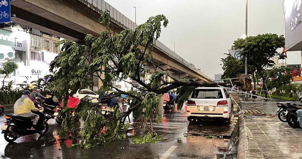 Không khí lạnh tiến sát biên giới nước ta, cảnh báo dông lốc rất mạnh từ đêm nay