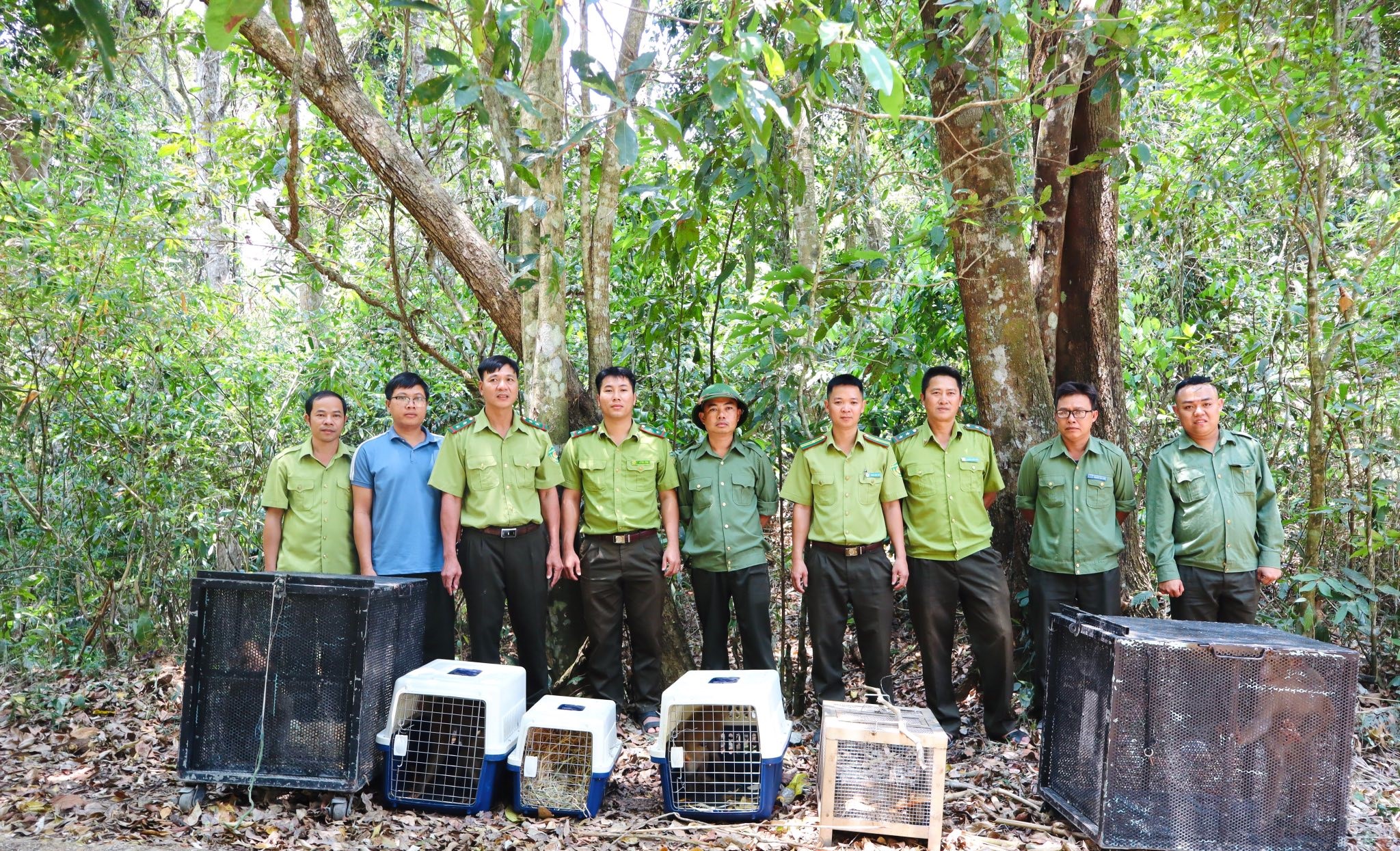 Nhiều động vật quý hiếm được thả về đại ngàn Đắk Lắk chỉ trong một ngày- Ảnh 1.