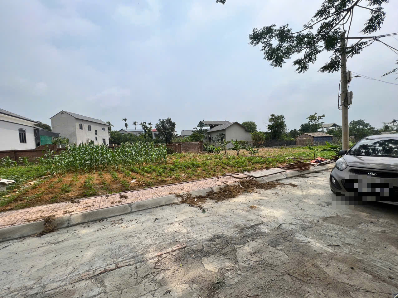 Mua bán nhà đất bằng giấy viết tay: Khi nào được công nhận?- Ảnh 1.