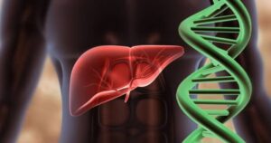 Lần đầu lập bản đồ gene gan người, hé lộ cơ chế bệnh gan nhiễm mỡ