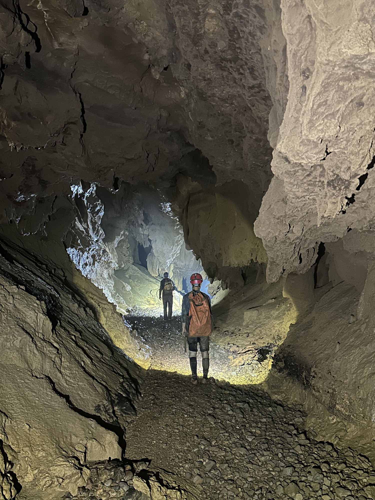 Những điều kỳ thú trong các hang động vừa được phát hiện tại Quảng Trị- Ảnh 7.