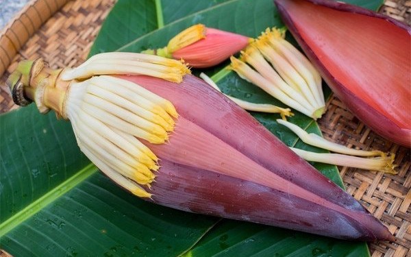 Hoa chuối có tác dụng gì?