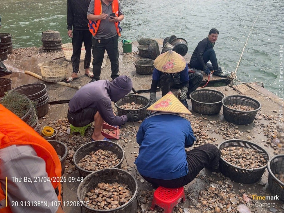 Phát hiện liên tiếp 4 vụ nuôi trồng thủy sản trái phép trên Vịnh Hạ Long
- Ảnh 2.