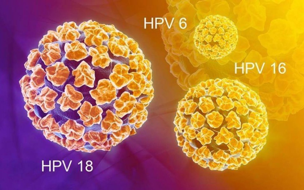Lý do độ tuổi 9 đến 14 là thời điểm nên tiêm vaccine HPV phòng ung thư cổ tử cung- Ảnh 3.