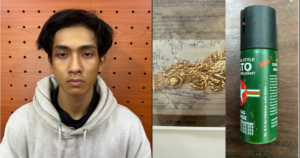 Bắt giữ Nguyễn Minh Nghĩa dùng bình xịt hơi cay cướp dây chuyền vàng