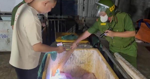 Phát hiện hơn 500kg thịt lợn hư hỏng, bốc mùi tại cơ sở giết mổ ‘chui’