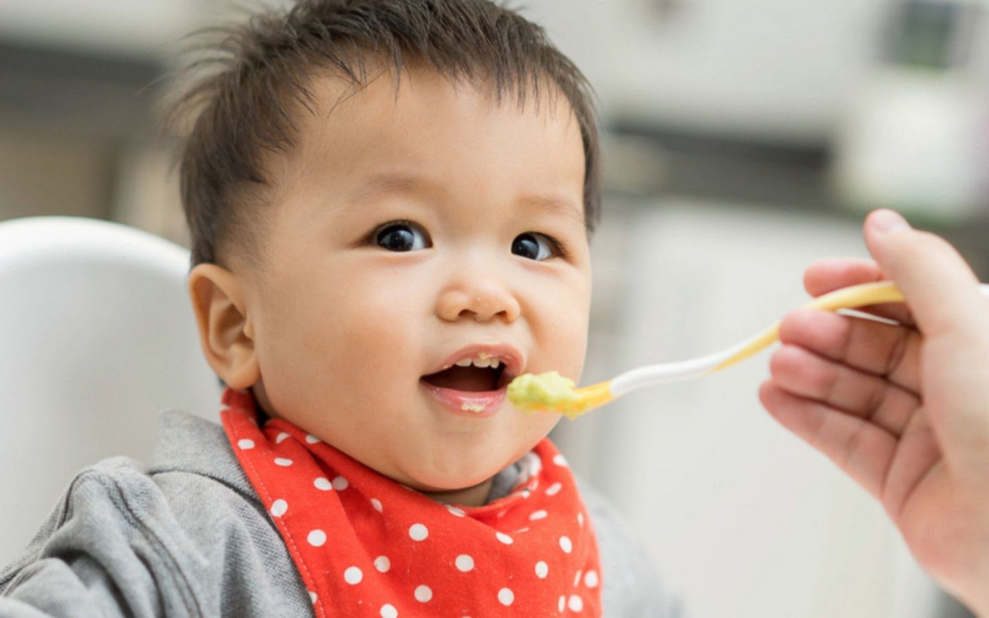 Cho trẻ ăn mỡ lợn như thế nào là phù hợp?