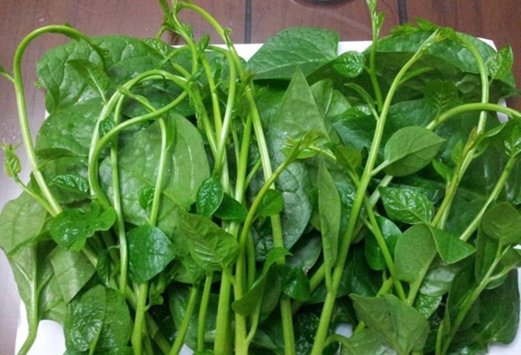 Bất ngờ hiệu quả làm đẹp của rau mồng tơi- Ảnh 1.