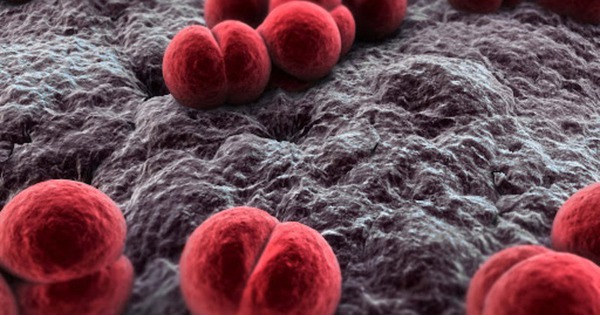 Ghi nhận 18 ca mắc não mô cầu tại phía Nam: Cách phòng bệnh hiệu quả