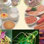 Bộ Y tế yêu cầu truy suất nguồn gốc thực phẩm vụ hơn 40 học sinh nghi ngộ độc ở Cà Mau