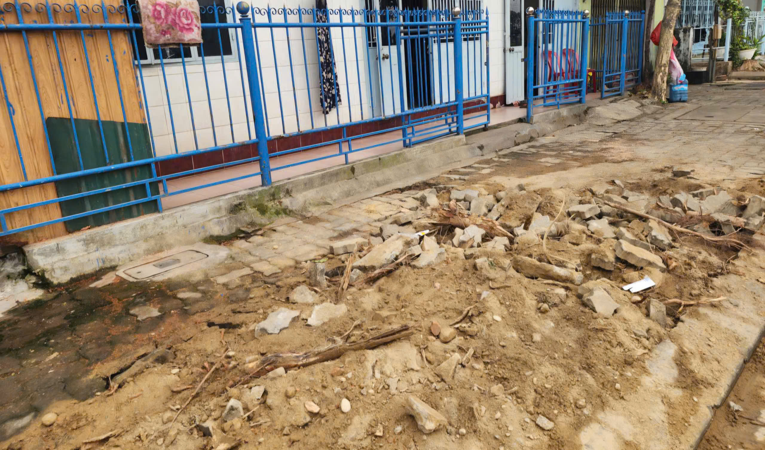 Nguyên nhân hàng chục cây xanh ở Huế bị cưa hạ giữa mùa nắng nóng- Ảnh 2.